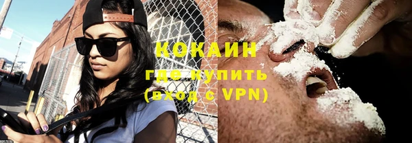 сатива Липки