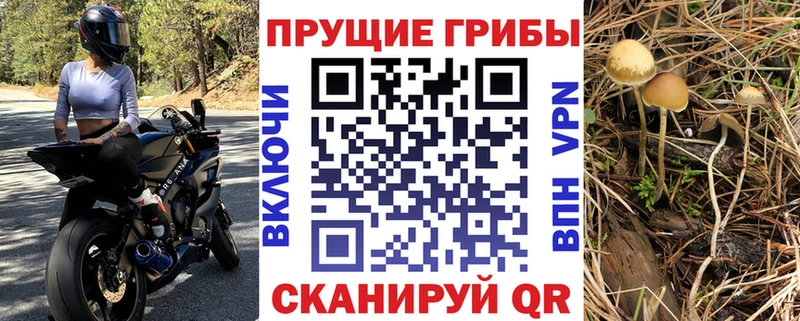 Псилоцибиновые грибы мицелий  Троицк 